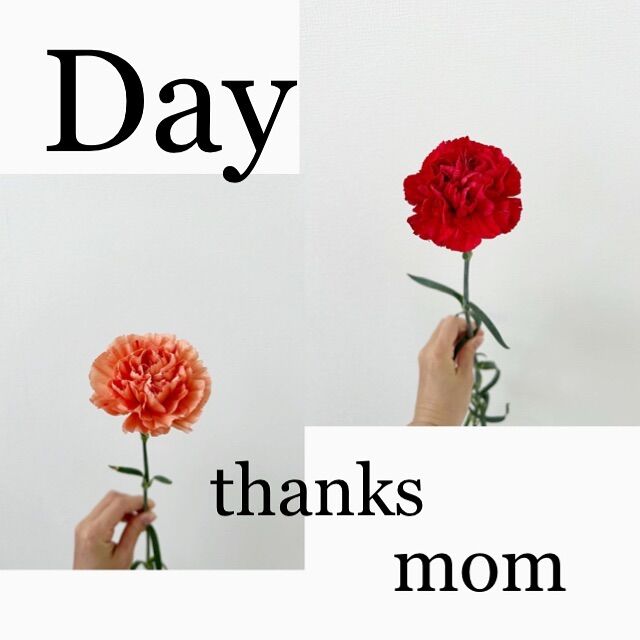 .
happy mother's day💐

5/12(日)は母の日ですね☺️

日頃のお母様への感謝を込めて
お花を贈りませんか☺️❤️

沢山の素敵なお花をご用意して
お待ちしています💐

#母の日 
#母の日プレゼント 
#母の日ギフト 
#春 
#花 
#生花 
#おしゃれな花屋さん 
#フラワーアレンジメント 
#パンパスグラス
#ドライフラワーインテリア 
#リース 
#スワッグ 
#スワッグのある暮らし 
#ドライフラワーのある生活 
#ドライフラワー 
#花のある暮らし 
#花のある生活 
#お祝い
#wedding 
#ウエディングフォト 
#海外挙式 
#hanatoyo 
#花豊 
#はなとよ 
#花屋 
#花屋さん 
#蒲郡 
#愛知県 
#三河 
#現金で1000円お買い上げごとに50円券プレゼント🎁お持ち帰り商品にのみ使用できます😊有効期限なし

愛知県蒲郡市港町18-33
有限会社 花豊
0533684048