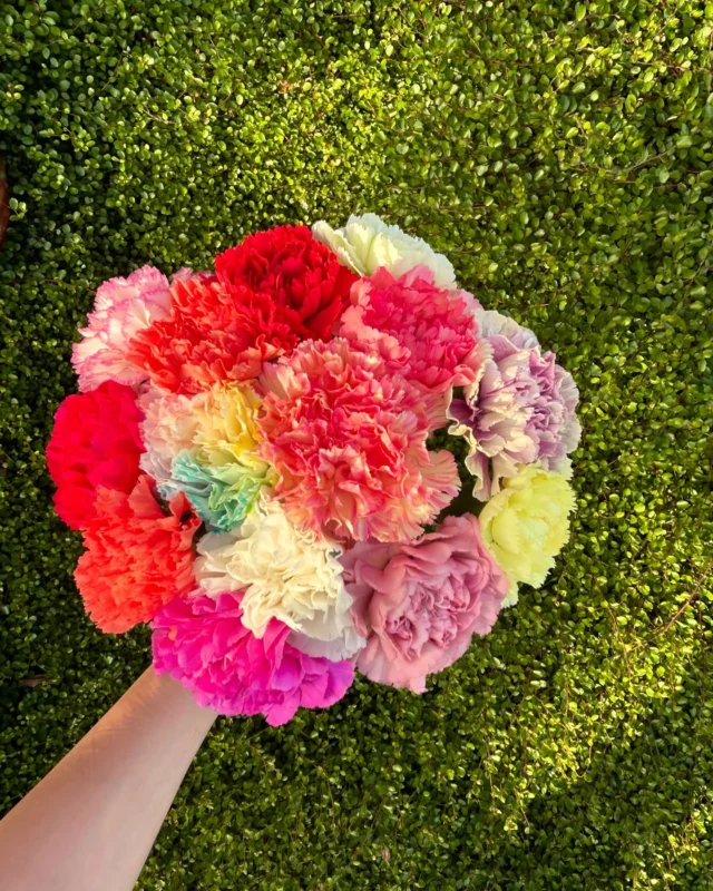 .
happy mother's day💐

たくさんの種類のカーネーションを
ご用意しています☺️
ぜひお立ち寄りください❤️

日頃のお母様への感謝を込めて
お花を贈りませんか☺️❤️

沢山の素敵なお花をご用意して
お待ちしています💐

#母の日 
#母の日プレゼント 
#母の日ギフト 
#春 
#花 
#生花 
#おしゃれな花屋さん 
#フラワーアレンジメント 
#パンパスグラス
#ドライフラワーインテリア 
#リース 
#スワッグ 
#スワッグのある暮らし 
#ドライフラワーのある生活 
#ドライフラワー 
#花のある暮らし 
#花のある生活 
#お祝い
#wedding 
#ウエディングフォト 
#海外挙式 
#hanatoyo 
#花豊 
#はなとよ 
#花屋 
#花屋さん 
#蒲郡 
#愛知県 
#三河 
#現金で1000円お買い上げごとに50円券プレゼント🎁お持ち帰り商品にのみ使用できます😊有効期限なし

愛知県蒲郡市港町18-33
有限会社 花豊
0533684048