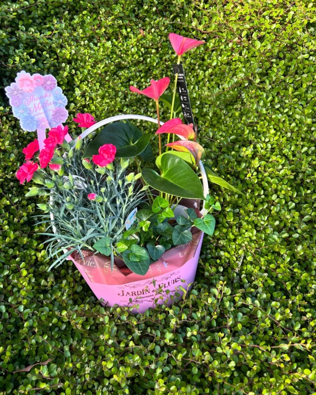 .
happy mother's day💐

日頃のお母様への感謝を込めて
お花を贈りませんか☺️❤️

沢山の素敵なお花をご用意して
お待ちしています💐

#母の日 
#母の日プレゼント 
#母の日ギフト 
#春 
#花 
#生花 
#おしゃれな花屋さん 
#フラワーアレンジメント 
#パンパスグラス
#ドライフラワーインテリア 
#リース 
#スワッグ 
#スワッグのある暮らし 
#ドライフラワーのある生活 
#ドライフラワー 
#花のある暮らし 
#花のある生活 
#お祝い
#wedding 
#ウエディングフォト 
#海外挙式 
#hanatoyo 
#花豊 
#はなとよ 
#花屋 
#花屋さん 
#蒲郡 
#愛知県 
#三河 
#現金で1000円お買い上げごとに50円券プレゼント🎁お持ち帰り商品にのみ使用できます😊有効期限なし

愛知県蒲郡市港町18-33
有限会社 花豊
0533684048