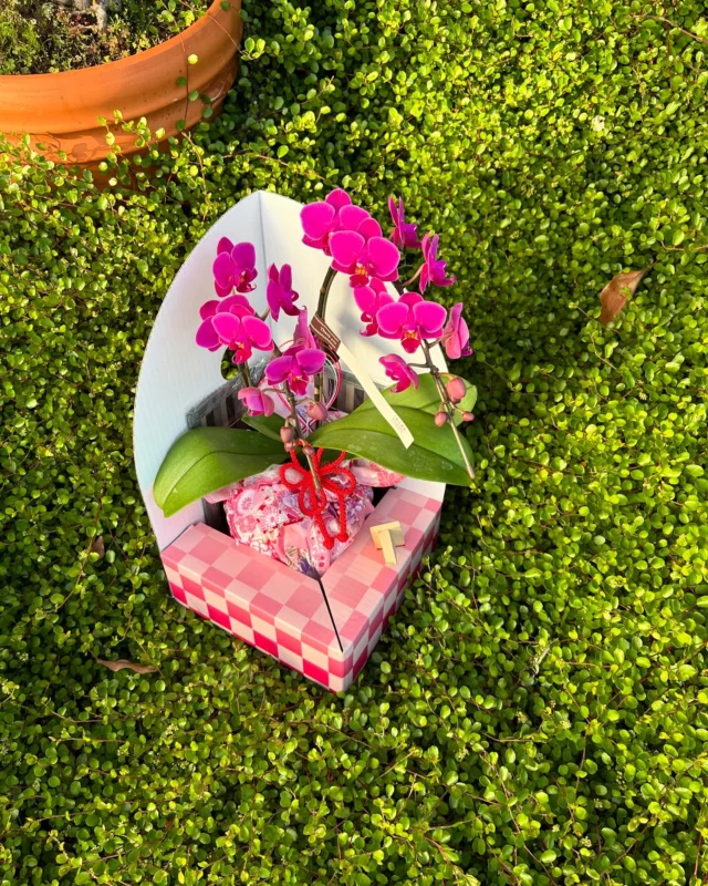 .
happy mother's day💐

日頃のお母様への感謝を込めて
お花を贈りませんか☺️❤️

沢山の素敵なお花をご用意して
お待ちしています💐

#母の日 
#母の日プレゼント 
#母の日ギフト 
#春 
#花 
#生花 
#おしゃれな花屋さん 
#フラワーアレンジメント 
#パンパスグラス
#ドライフラワーインテリア 
#リース 
#スワッグ 
#スワッグのある暮らし 
#ドライフラワーのある生活 
#ドライフラワー 
#花のある暮らし 
#花のある生活 
#お祝い
#wedding 
#ウエディングフォト 
#海外挙式 
#hanatoyo 
#花豊 
#はなとよ 
#花屋 
#花屋さん 
#蒲郡 
#愛知県 
#三河 
#現金で1000円お買い上げごとに50円券プレゼント🎁お持ち帰り商品にのみ使用できます😊有効期限なし

愛知県蒲郡市港町18-33
有限会社 花豊
0533684048