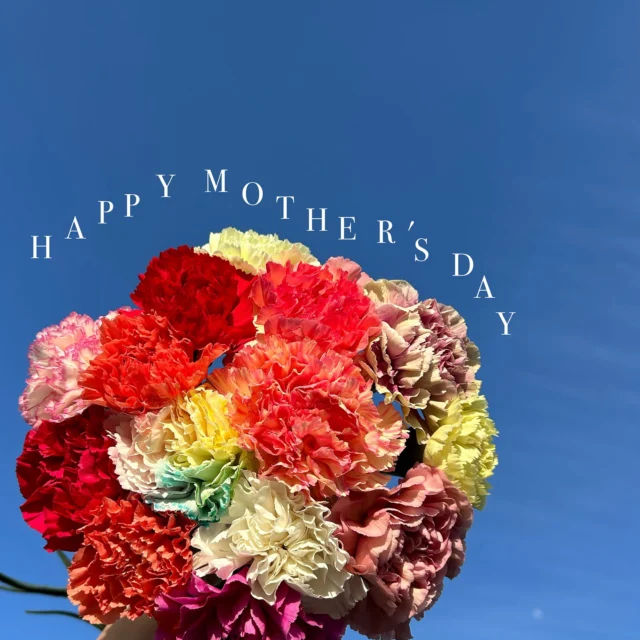 .
happy mother's day💐

たくさんの種類のカーネーションを
ご用意しています☺️
ぜひお立ち寄りください❤️

日頃のお母様への感謝を込めて
お花を贈りませんか☺️❤️

沢山の素敵なお花をご用意して
お待ちしています💐

#母の日 
#母の日プレゼント 
#母の日ギフト 
#春 
#花 
#生花 
#おしゃれな花屋さん 
#フラワーアレンジメント 
#パンパスグラス
#ドライフラワーインテリア 
#リース 
#スワッグ 
#スワッグのある暮らし 
#ドライフラワーのある生活 
#ドライフラワー 
#花のある暮らし 
#花のある生活 
#お祝い
#wedding 
#ウエディングフォト 
#海外挙式 
#hanatoyo 
#花豊 
#はなとよ 
#花屋 
#花屋さん 
#蒲郡 
#愛知県 
#三河 
#現金で1000円お買い上げごとに50円券プレゼント🎁お持ち帰り商品にのみ使用できます😊有効期限なし

愛知県蒲郡市港町18-33
有限会社 花豊
0533684048