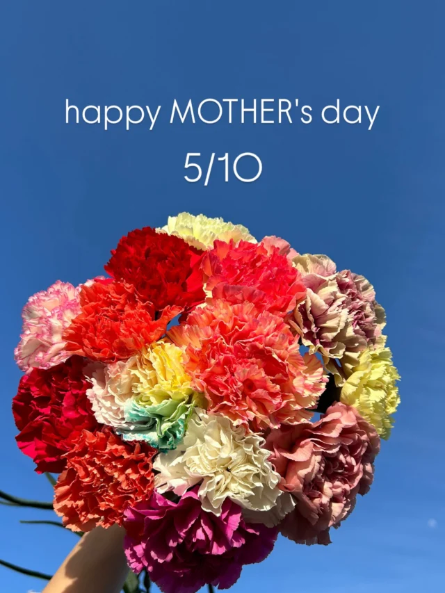 . 
Happy Mother's Day
5/10は母の日ですね☺️

日頃の感謝をこの機会に伝えてみませんか♡
皆様のご来店を心より
お待ち申し上げます☺️❤️

毎日休まず
年中無休で営業しています

本日もご来店お待ちしています☺️

現金で1000円お買い上げごとに50円券プレゼント🎁
お持ち帰り商品にのみ使用できます😊有効期限なしです

#春 
#spring 
#flower 
#花屋 
#蒲郡 

hanatoyo_gamagori
愛知県蒲郡市港町18-33
有限会社 花豊
0533684048