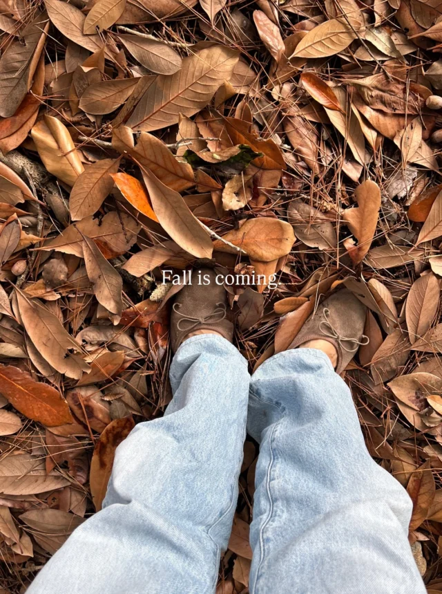 Fall is coming.
秋が近づいてきていますね☺️

ダリア、リンドウ、コスモス、ケイトウ、ワレモコウなど
かわいくてお洒落なお花がたくさんの秋🍂

お家でお花を愛でる時間も素敵ですね🍂🍄
贈り物にもぜひご活用ください🍁